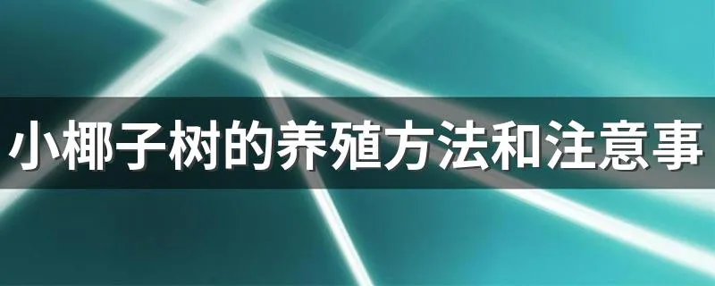 小椰子树的养殖方法和注意事项 怎么养殖最好