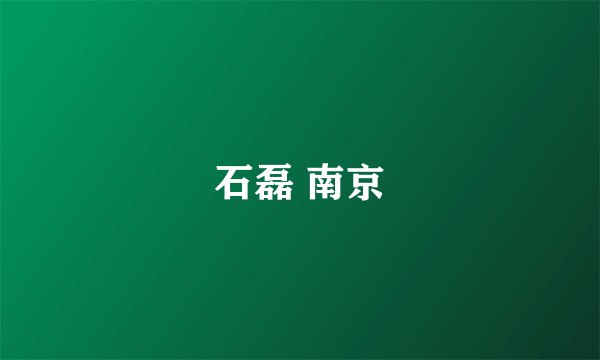 石磊 南京