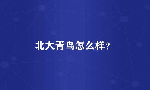 北大青鸟怎么样？