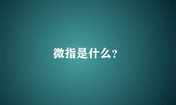 微指是什么？