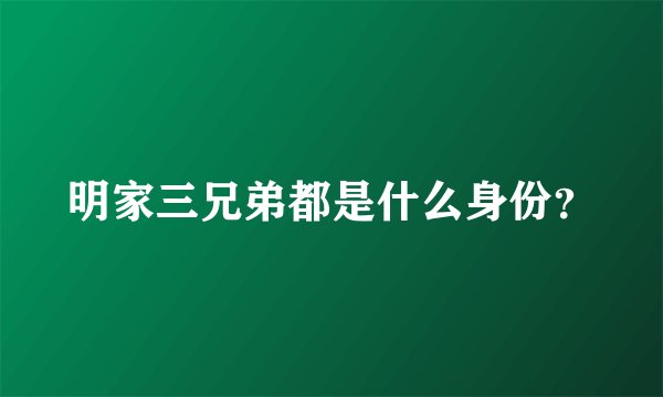明家三兄弟都是什么身份？