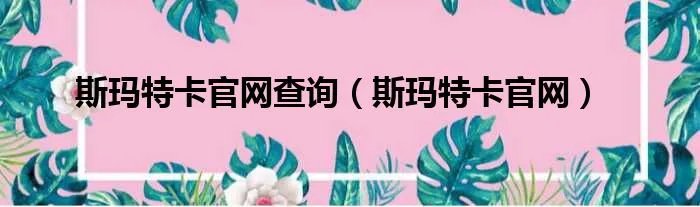 斯玛特卡官网查询(斯玛特卡官网)