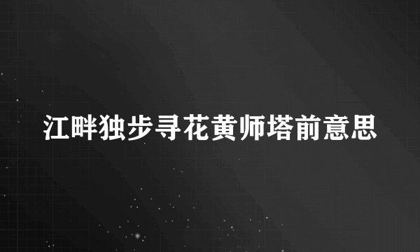 江畔独步寻花黄师塔前意思