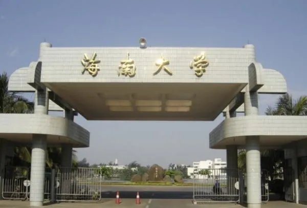 海南大学艺术学院是几本的大学？