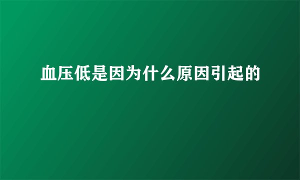 血压低是因为什么原因引起的
