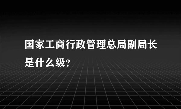 国家工商行政管理总局副局长是什么级？