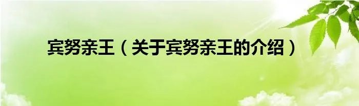 宾努亲王（关于宾努亲王的介绍）