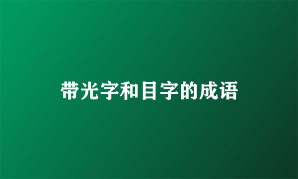 带光字和目字的成语