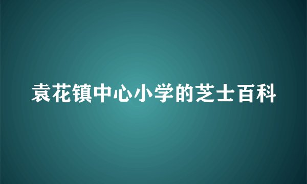 袁花镇中心小学的芝士百科