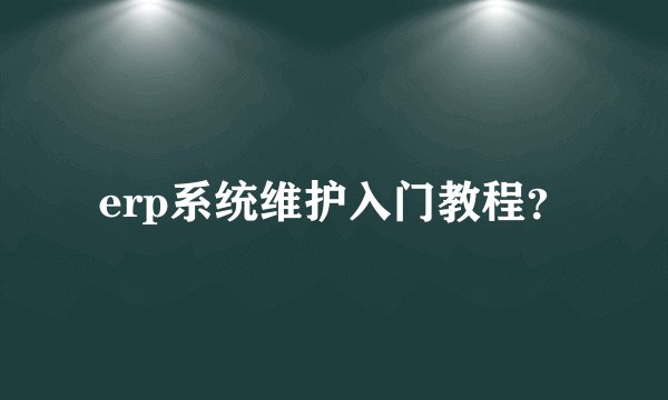 erp系统维护入门教程?