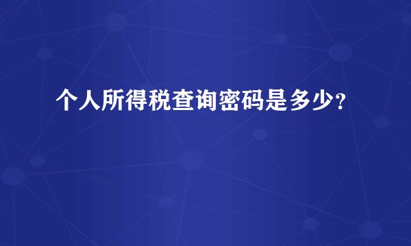 个人所得税查询密码是多少？