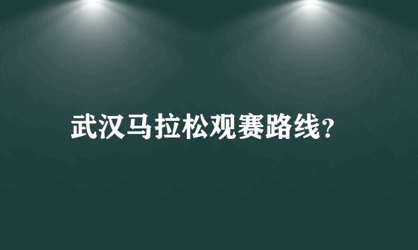 武汉马拉松观赛路线？
