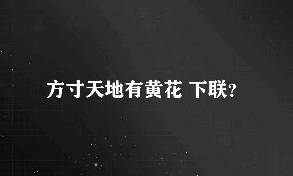 方寸天地有黄花 下联？