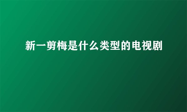 新一剪梅是什么类型的电视剧