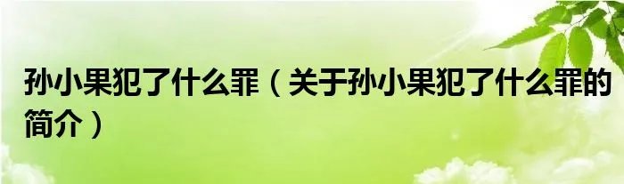 孙小果犯了什么罪（关于孙小果犯了什么罪的简介）
