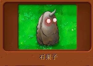 石果子的作用?