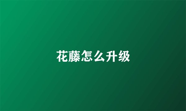 花藤怎么升级