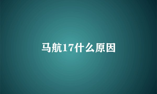 马航17什么原因