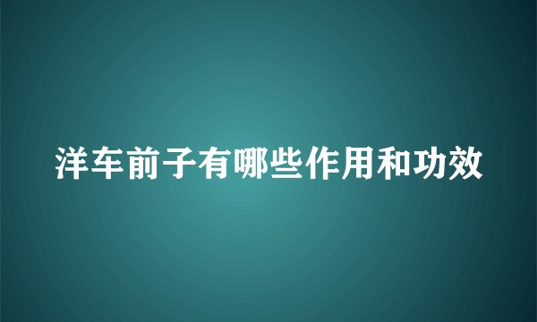 洋车前子有哪些作用和功效