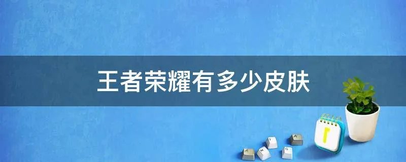 王者荣耀有多少皮肤