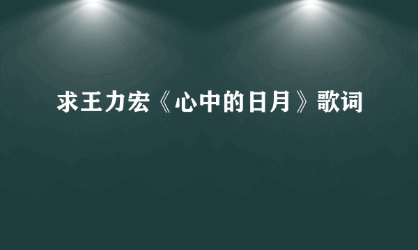 求王力宏《心中的日月》歌词