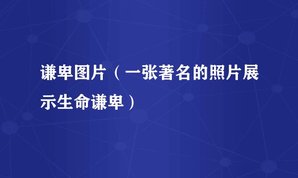 谦卑图片（一张著名的照片展示生命谦卑）