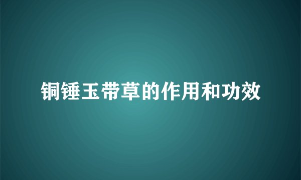 铜锤玉带草的作用和功效