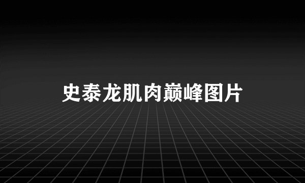 史泰龙肌肉巅峰图片