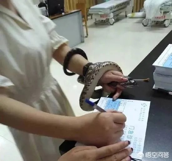 浙江23岁姑娘被蛇咬后徒手握蛇看急诊,离院时带走称将其放生,对此你怎么看?