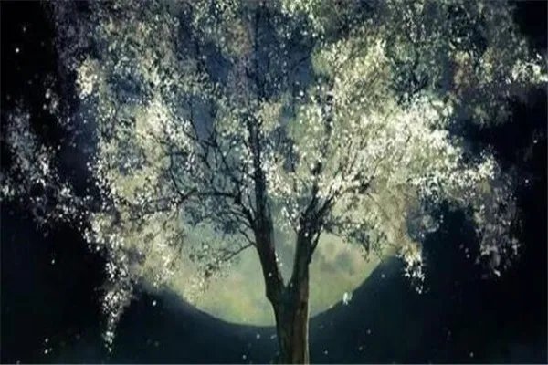 十大上古神树 星辰树以星辰为食,第七能直达天阙