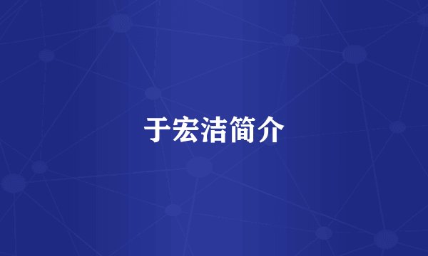 于宏洁简介