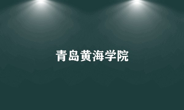 青岛黄海学院