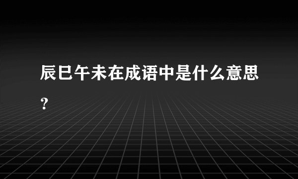 辰巳午未在成语中是什么意思？