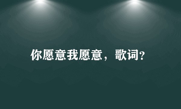 你愿意我愿意，歌词？