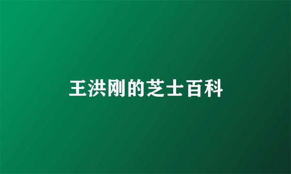 王洪刚的芝士百科