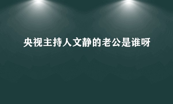 央视主持人文静的老公是谁呀