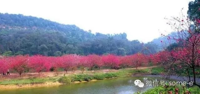 佛山新八景