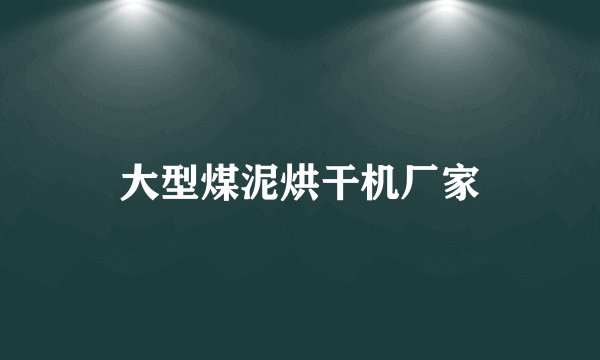 大型煤泥烘干机厂家