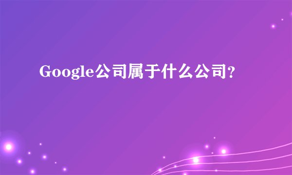 Google公司属于什么公司?