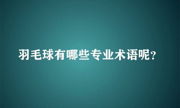 羽毛球有哪些专业术语呢？