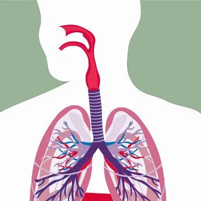 肺癌肝转移症状?