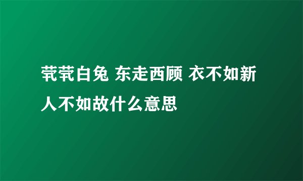 茕茕白兔 东走西顾 衣不如新 人不如故什么意思
