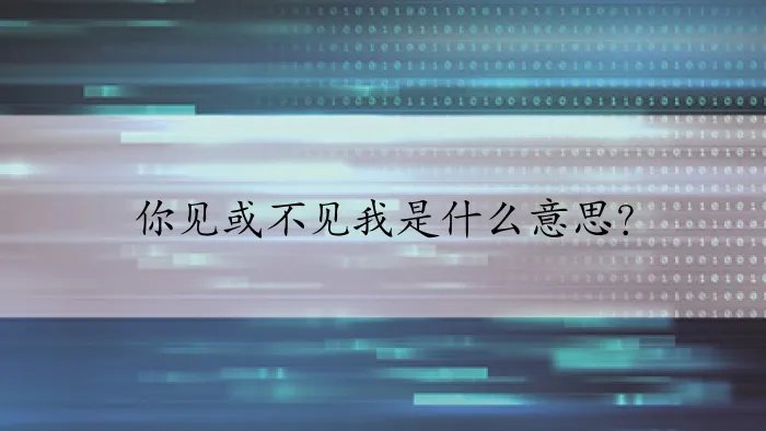 你见或不见我是什么意思?