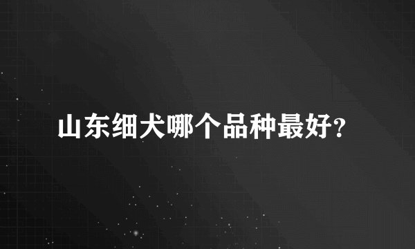 山东细犬哪个品种最好？
