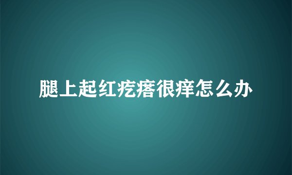 腿上起红疙瘩很痒怎么办
