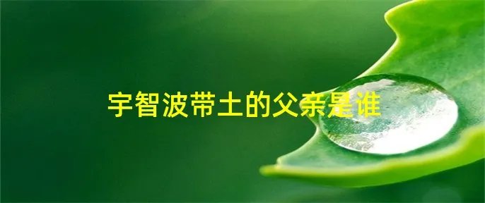 宇智波带土的父亲是谁