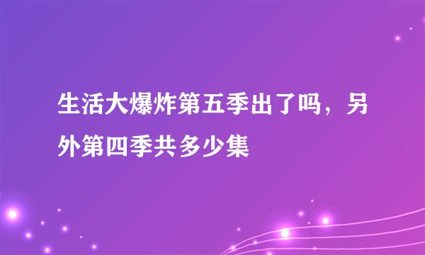生活大爆炸第五季出了吗，另外第四季共多少集