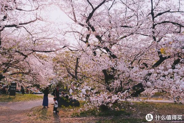 漫谈M43 篇一:M43画幅相机?这个相机体系有什么优劣?有图有真相!