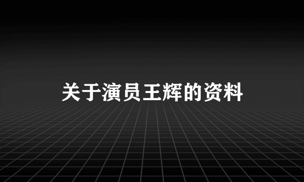 关于演员王辉的资料