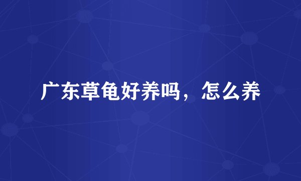 广东草龟好养吗,怎么养